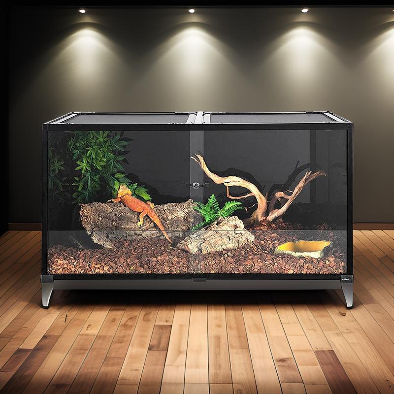 Bearded Dragon Enclosure